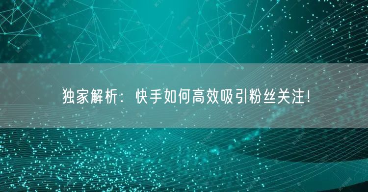 独家解析：快手如何高效吸引粉丝关注！
