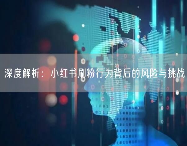 深度解析：小红书刷粉行为背后的风险与挑战