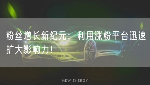 粉丝增长新纪元：利用涨粉平台迅速扩大影响力！