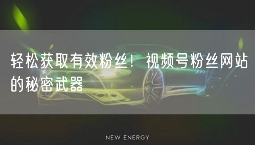 轻松获取有效粉丝！视频号粉丝网站的秘密武器